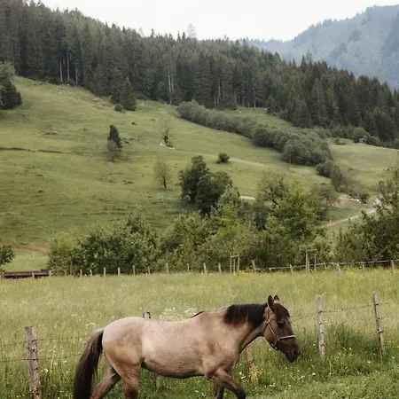 Schmiedhof Gut Grossarl