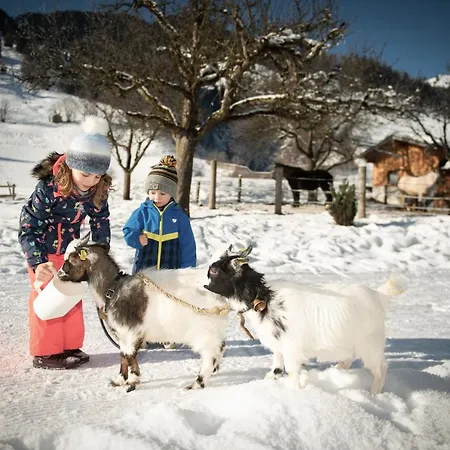 Schmiedhof Gut Apartament *